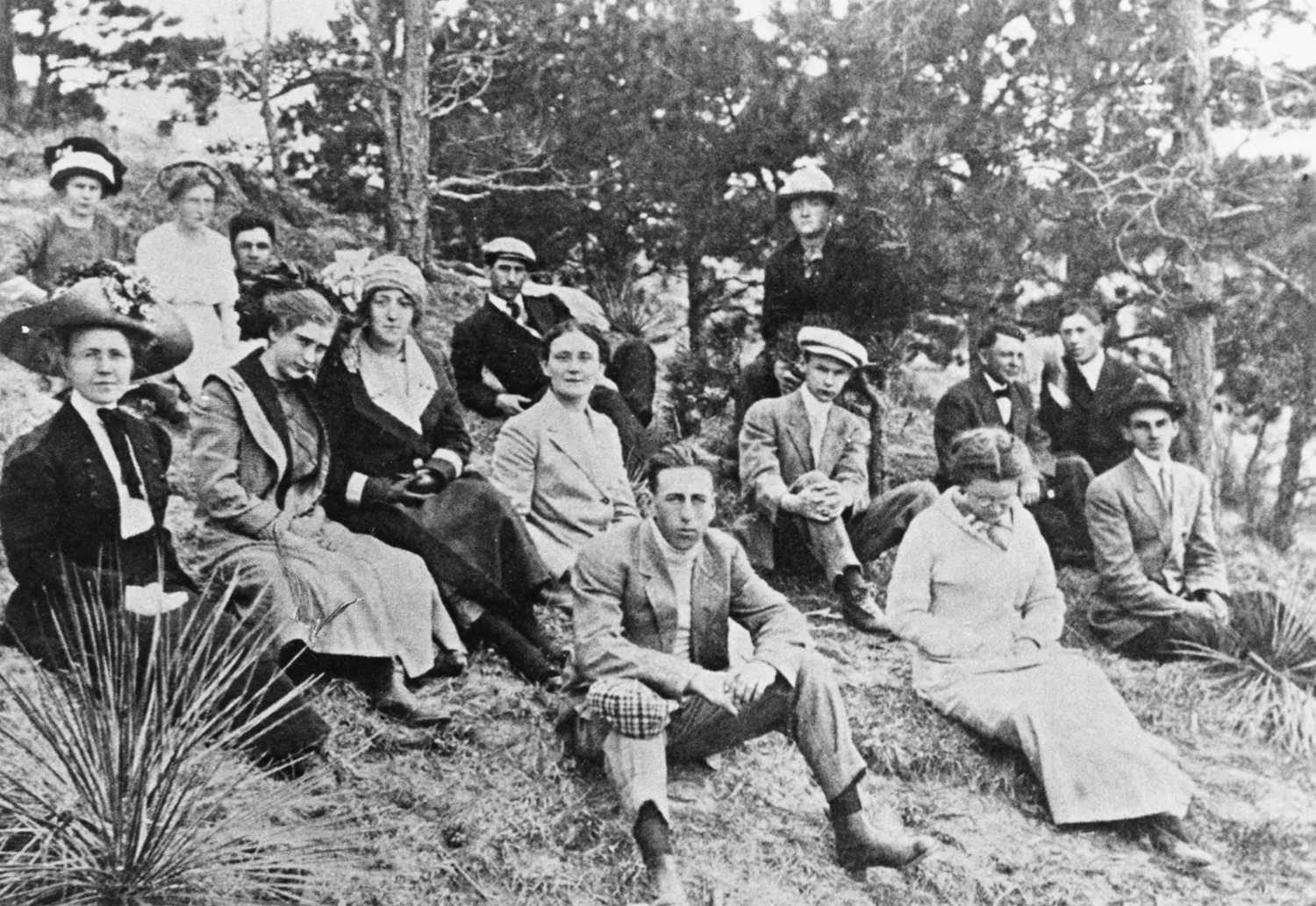 Group of students sitting on a hillside under pine trees