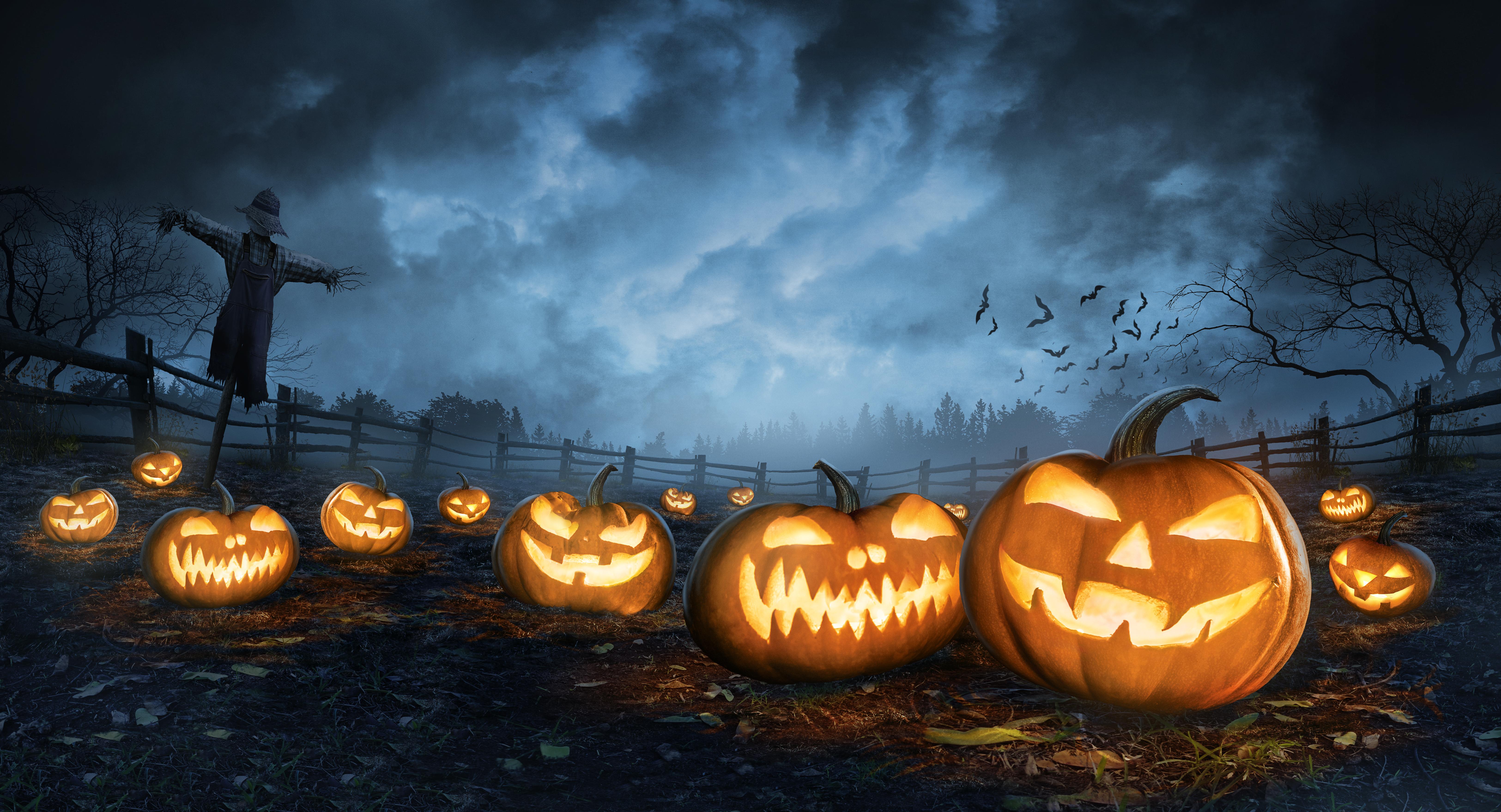 Jackolanterns in the dark