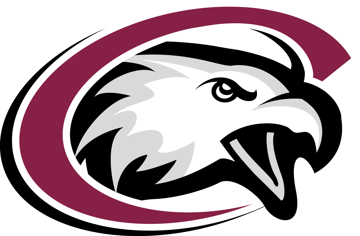 CSC Logo