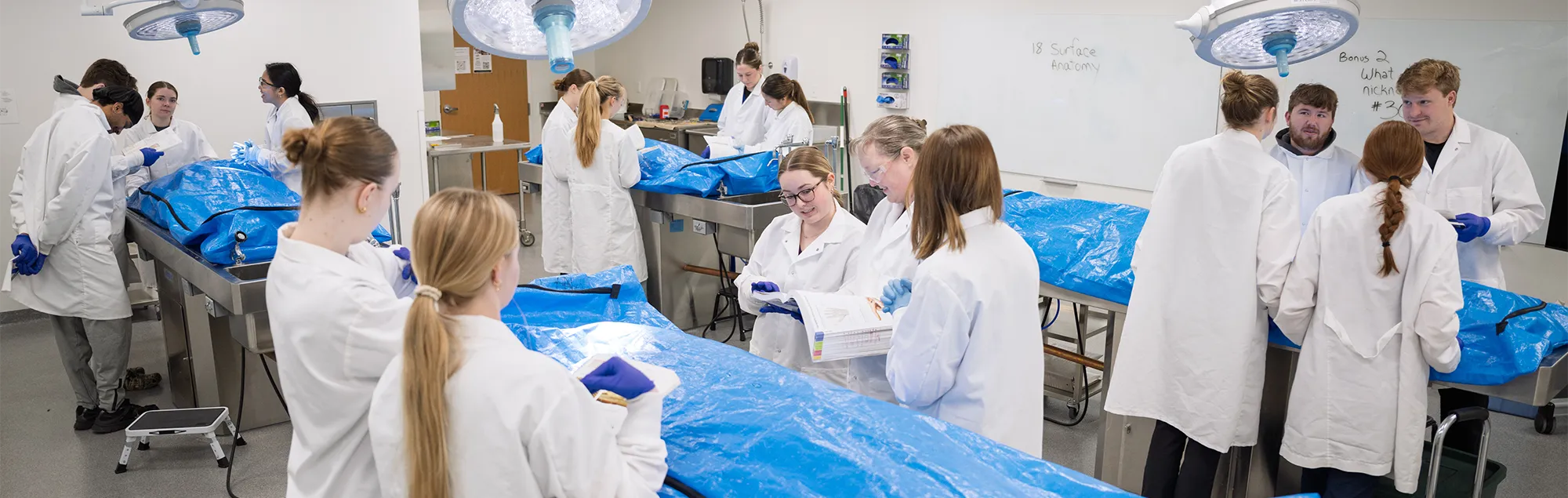 Students review textbook materials in an anatomy lab