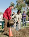 Sally Ganem plants a tree