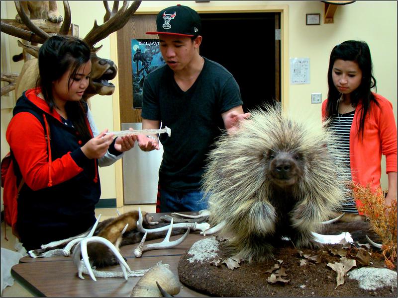 Job Corps students tour the Cabela's collection of animal mounts in the Burkhiser Technology Complex