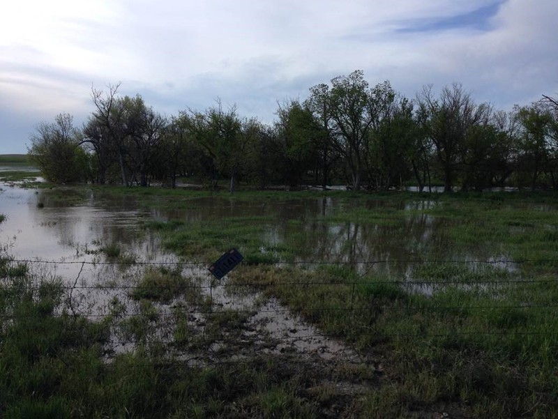 Flooding on the White River north of Chadron in early June.