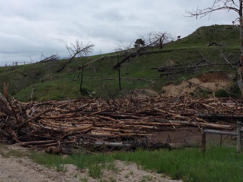 A pile of trees washed into a gully in Sowbelly Canyon, northwest of Chadron.
