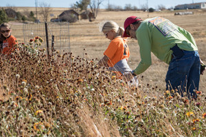 Bill Whitney assists students planting seeds