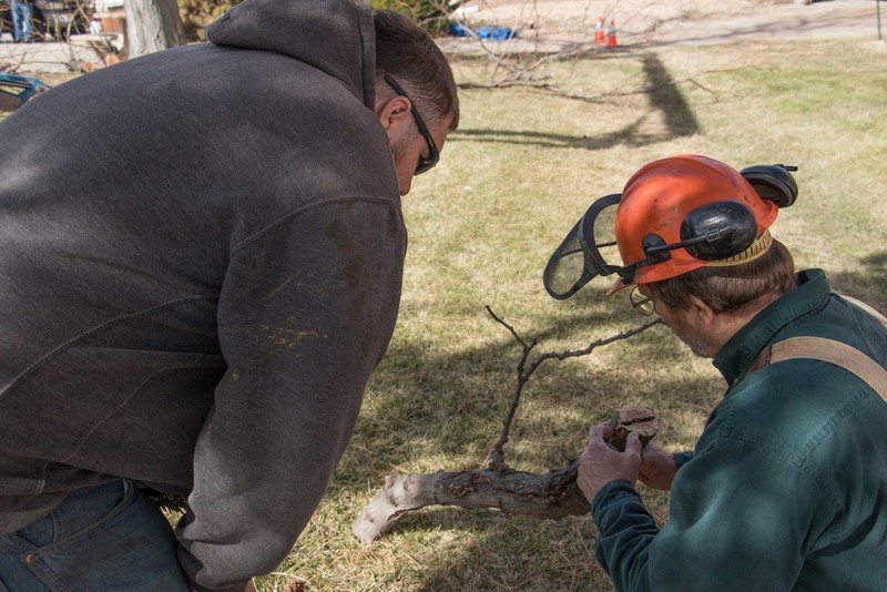 Northwest Nebraska State Forester Doak Nickerson, right, shows irreparable storm damage to a participant in the tree pruning workshop hosted at Chadron State College on March 14, 2017.