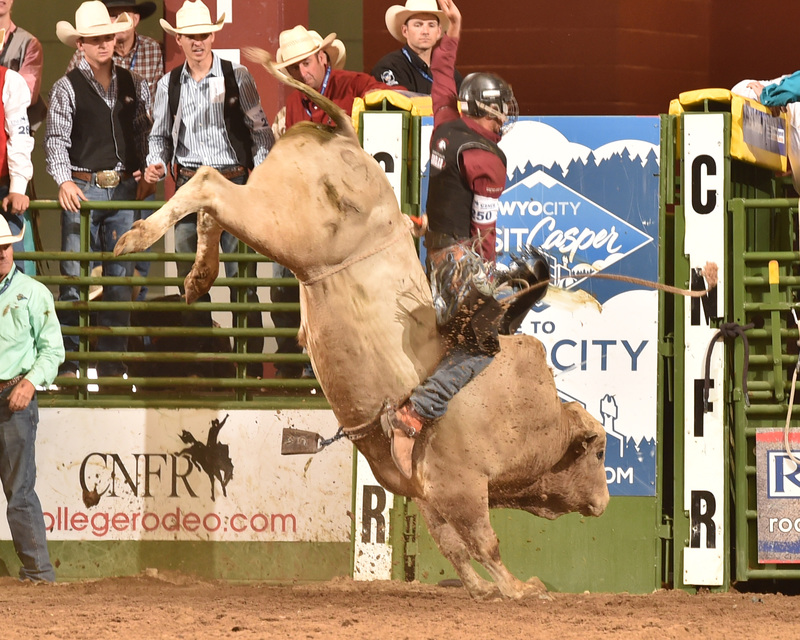 Chadron State College student Cordale Martin of Panhandle, Texas, competes in the College National Finals Rodeo in Casper, Wyo., in June 2017.