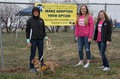 CSC students help Friends of Pets
