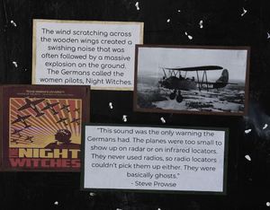 A screen shot of the first place senior place exhibit Western District History Day