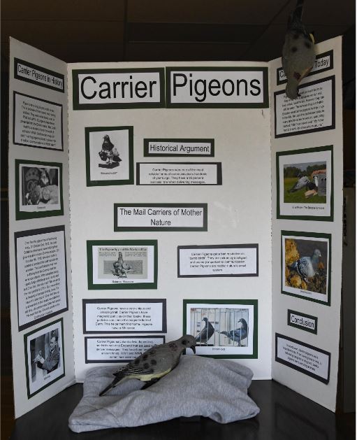 A screen shot of the Western District History Day first place junior individual exhibit