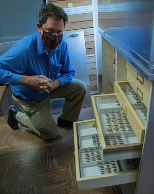 Dr. Mathew Brust, Professor, poses with a tray of insect specimens temporarily housed in Brooks Hall