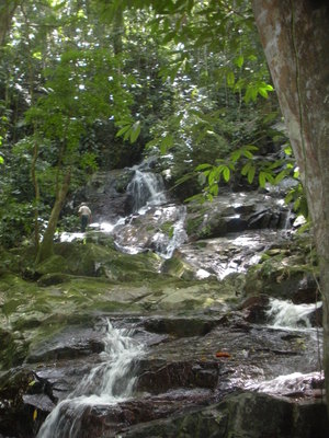 A Cockscomb Basin granite outcrop near a waterfall in Belize