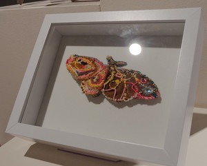 Butterfly art work inside a case at CSC Art Show.