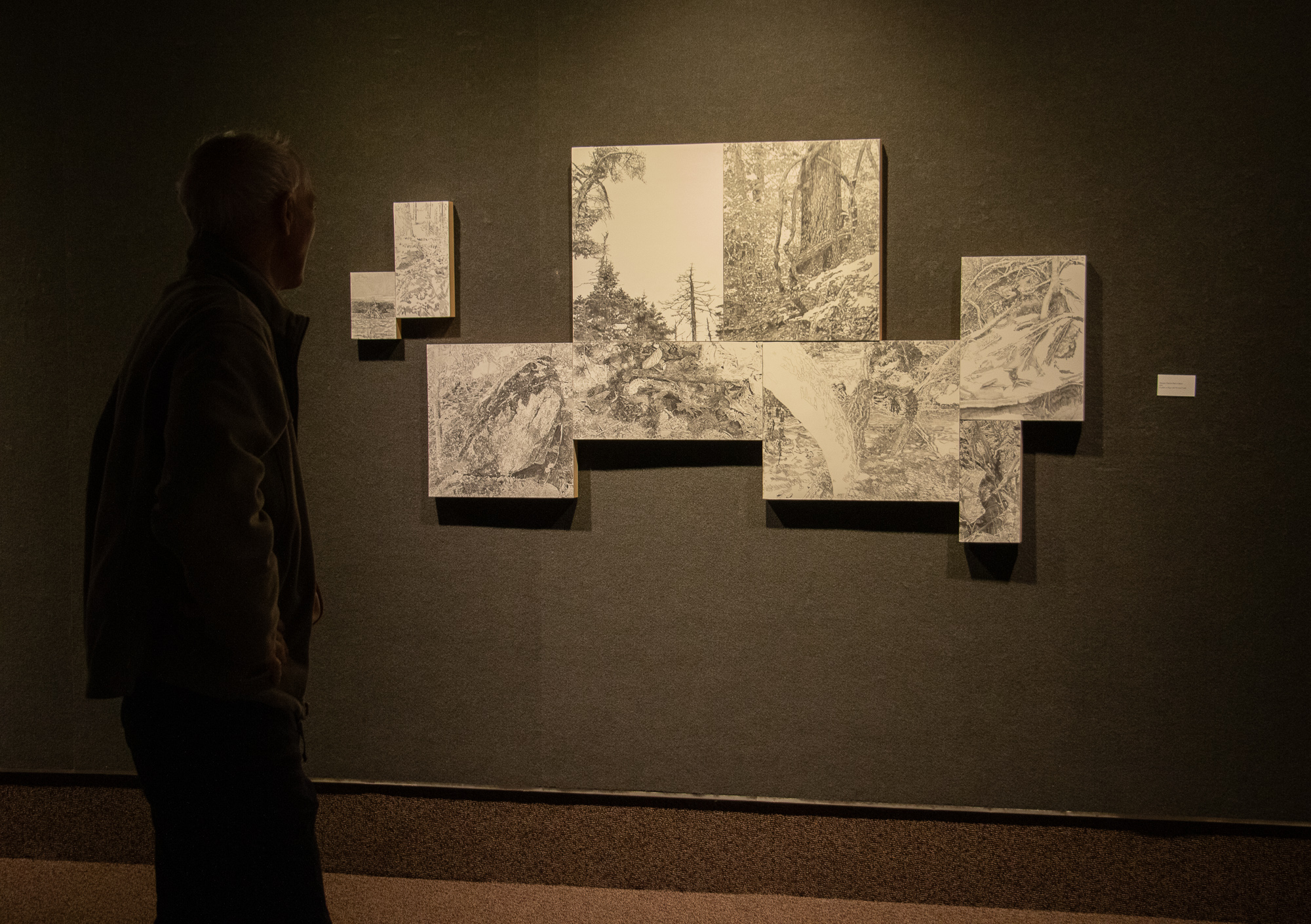 Person viewing art in the main gallery