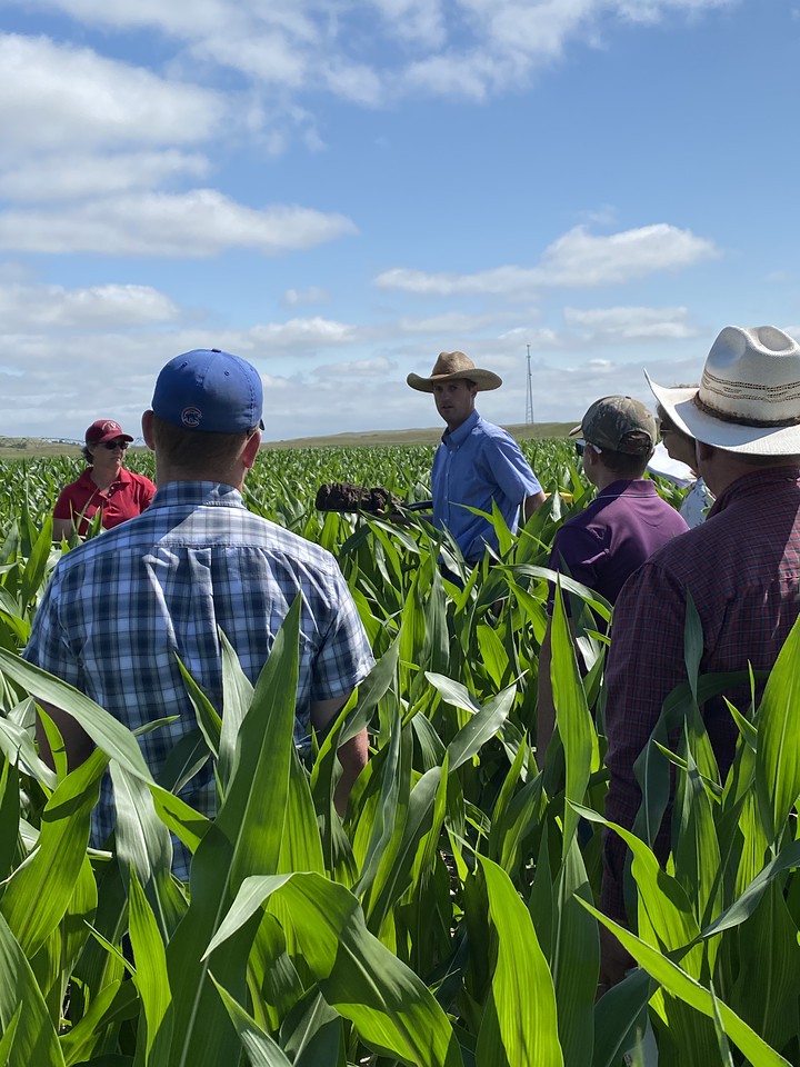 Plant scientist in the field