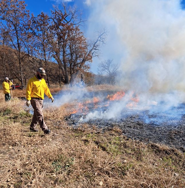 Professor at prescribed fire