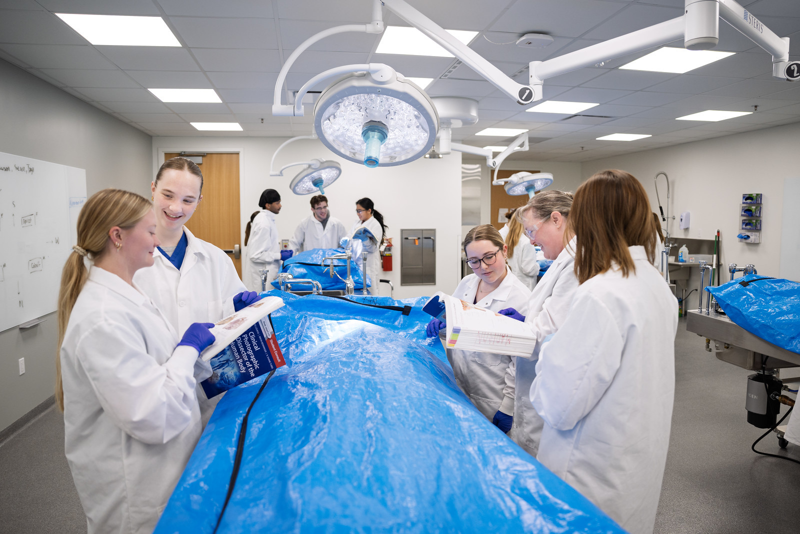 Professor and students working in human cadaver lab