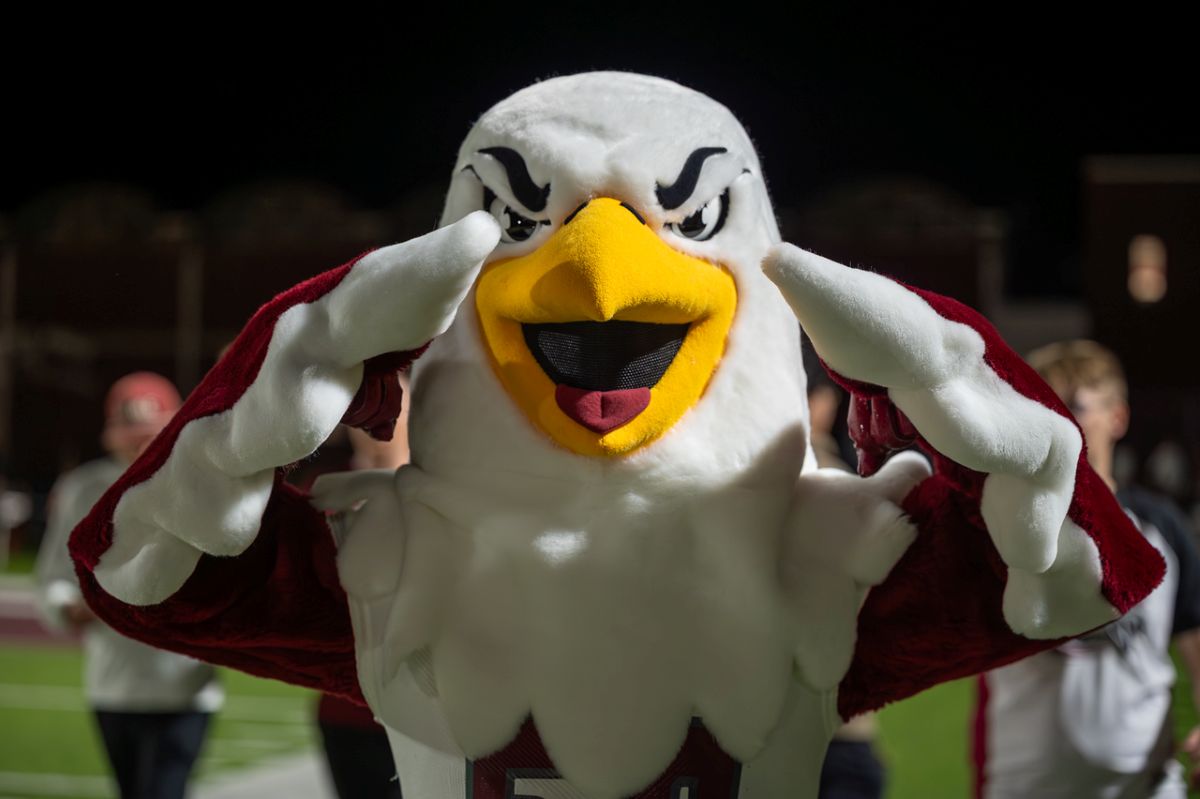 Elmo the Eagle