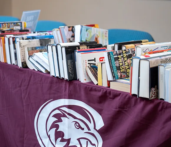 Table covered with books of various subjects