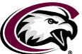 CSC Logo