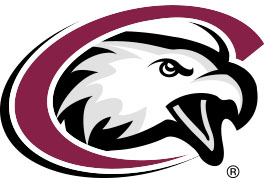 CSC Eagle Logo